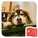 夏夏夏夏xia