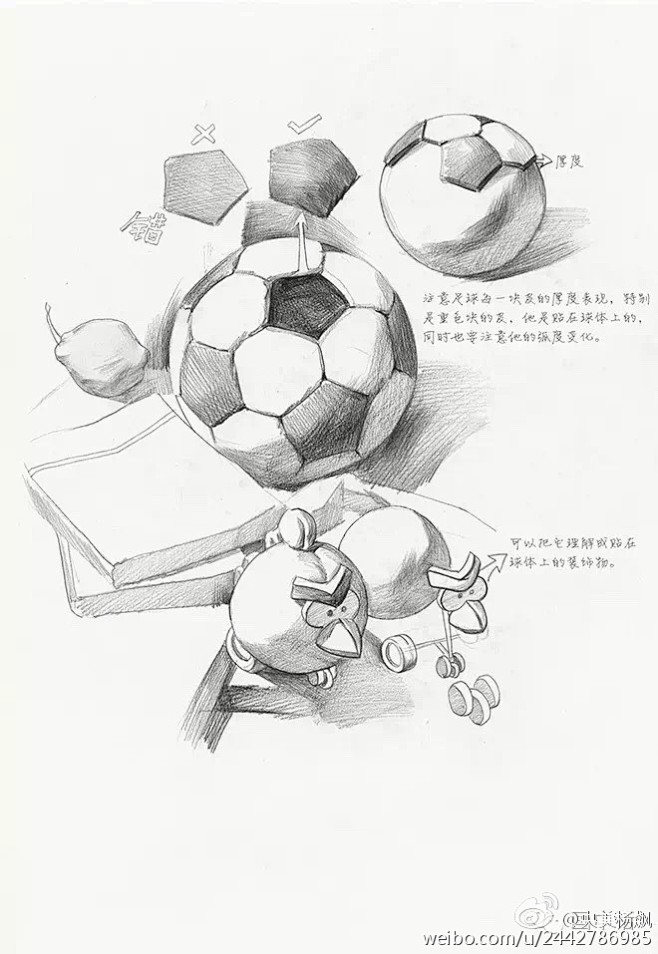 纯干货丨素描静物三大痛点，直击联考高分！...