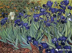 我们的美术馆这幅画是凡高在去世的前一年1889年5月，他进入位于法国一间精神病院后所画的。同向日葵一样，凡高似乎也很喜欢画这类植物。油画中的鸢（yuan）尾花在人们看来，远远美过真实的。也许就是那种淡淡的美丽与可爱，才会如此深深地吸引着观赏者。画中色彩丰富，线条细致而多变，左边的白花与最右方的浅蓝花相呼应。画家细心安排花朵位置，引导观者视线。整个画面充满律动及和谐之感。100年后，1988年11月11日，《鸢尾花》以5300万美元的天价卖出。