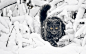 General 2560x1600 cat snow animals yellow eyes black cats