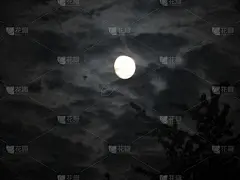 秋月在云中