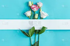分离着色,蓝色背景,请柬,事件,贺卡,背景分离,彩色背景,边框,信函,情人节卡