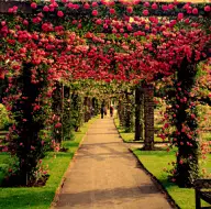 园艺庭院 别墅庄园