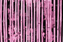 粉色纹理图案抽象背景可以用作墙纸、屏幕保护程序、小册子封面或演示背景或文章背景也有文本复制空间。