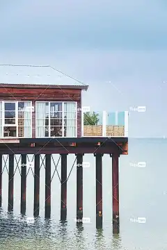 荷兰 海滩餐厅 北海 景观 美丽的壁纸 自然 海 沙 海岸