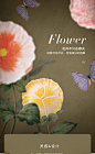 JOYYE浮雕花杯盖 创意个性花卉盖子手绘 通用杯盖子陶瓷马克杯盖-tmall.com天猫