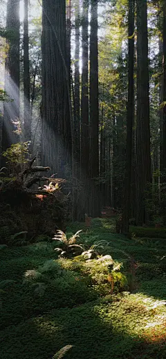 欢愉且胜意，万事皆可期   #风景手机壁纸