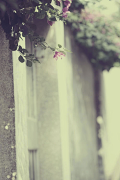 Youth❀采集到❀凌乱
