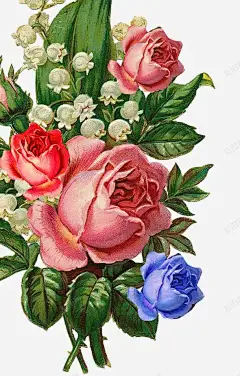 手绘花卉 蓝色花型 元素 免抠png 设计图片 免费下载 页面网页 平面电商 创意素材