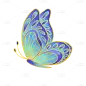 蝴蝶
