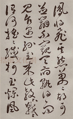 珀斑采集到字体