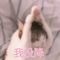 分享一组我特别喜欢的表情包吧
希望你用的时候也很开心♡ ​​​​