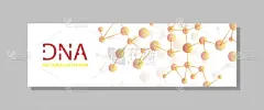 分子结构,线条,点连成线,商务,健康保健,计划书,传单,技术,分子,联系