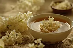 秋日植物桂花图片摄影图