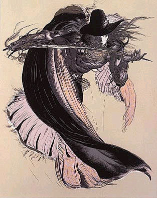 多元艺术家天野喜孝画集(一) #采集大赛...