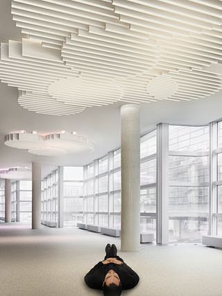 Acoustic Ceiling Pan...