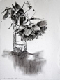 奥尔加·阿布拉莫娃 |  出售艺术品，在线购买绘画。 出售艺术品