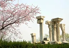 圆明园第十八届踏青节隆重开幕　打造春之盛宴