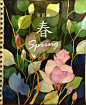 玉兰花