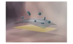 美朵嘉抗菌天丝空调被夏凉被单人夏季被子双人可机洗水洗夏被薄被-tmall.com天猫