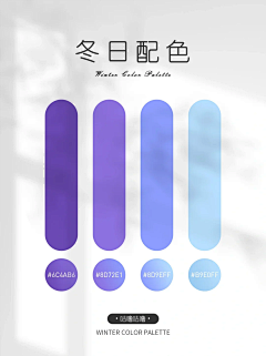 配色-花瓣网|陪你做生活的设计师 | 配色分享丨高级感双色搭配，紫色系色彩灵感