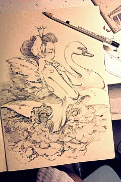 练习——白天鹅【素描】
