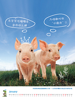 Sucre2采集到台历