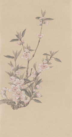 以承采集到工笔画