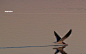 20100831163742555