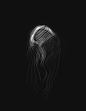 Top Creative Work On Behance : Showcase and discover creative work on the world's leading online platform for creative industries.