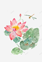 国潮荷花手绘高清素材 国潮 手绘 水墨 荷花 元素 免抠png 设计图片 免费下载 页面网页 平面电商 创意素材