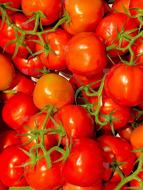 Tomatos