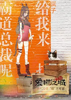 爱猫之城 Kedi 海报