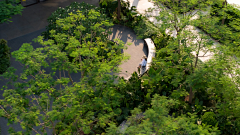 YSH—行采集到D—大区景观
