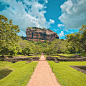 Photo by Rajitha Nuwan on December 11, 2023. May be an image of park.