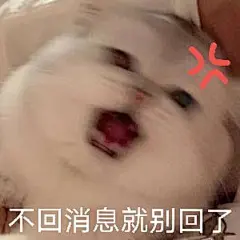 喵喵/表情包