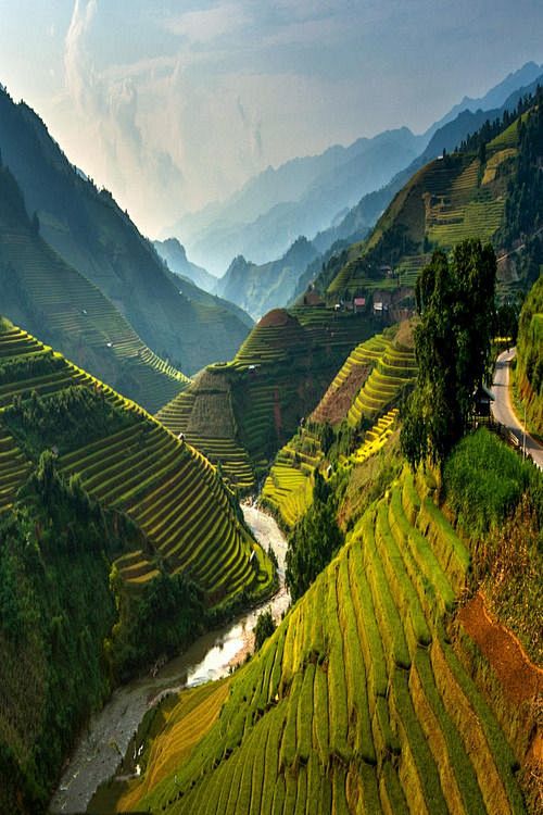 Mu cang chai, Vietna...