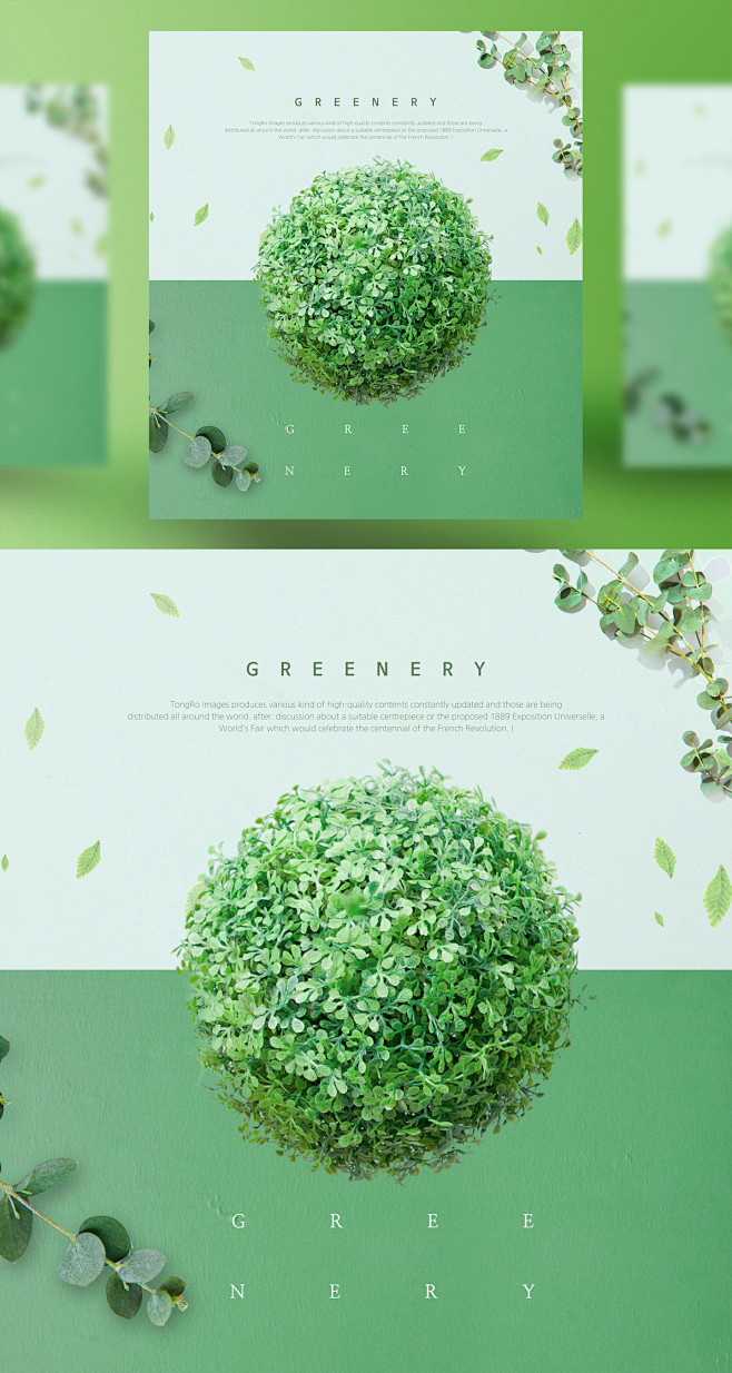 植物球 浅绿背景 绿色植物主题海报PSD...