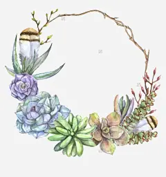 手绘多肉花环羽毛高清素材 小清新 手绘 插画 水彩 美丽 花卉 免抠png 设计图片 免费下载