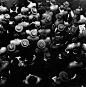 Standard Oil, 1944-48 - Archive - The Gordon Parks Foundation