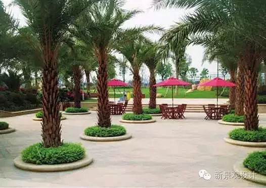 原来，景观树池也可以这样设计！