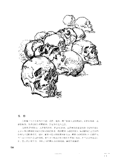 茎花姜炒螺骑手求好评采集到速写头部
