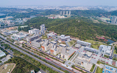接骨木西打采集到大学