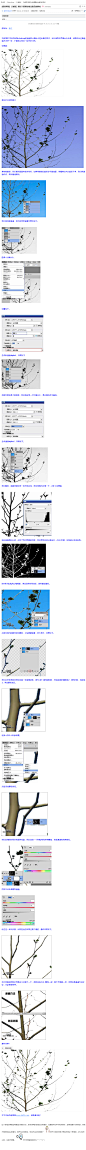 【抠图】通过计算通道抠出复杂的树枝 - PS教程