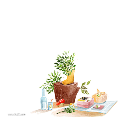 lorine·采集到植物插画