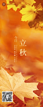 立秋节气祝福小清新长图海报