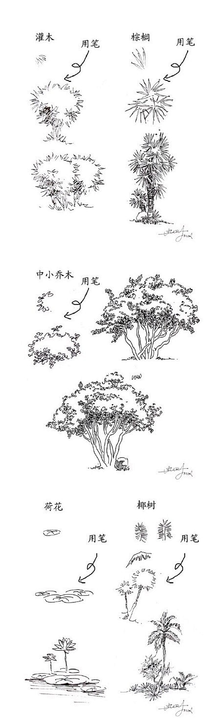 【一学就会，植物手绘速写20种技法】在最...