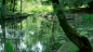 #摄影（风景-山水-绿色系-春天-绿荫）