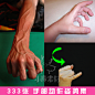 333张 手部动作姿势集 艺用人体四肢之手部的漫画练习参考素材-淘宝网