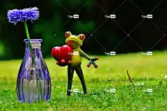 青蛙 爱 情人节 花瓶 花 母亲节快乐 自然 花壁纸 玻璃